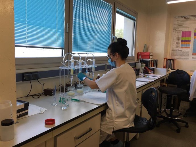 Las ayudas promueven la incorporación de jóvenes investigadores en universidades y centros de investigación aragoneses.