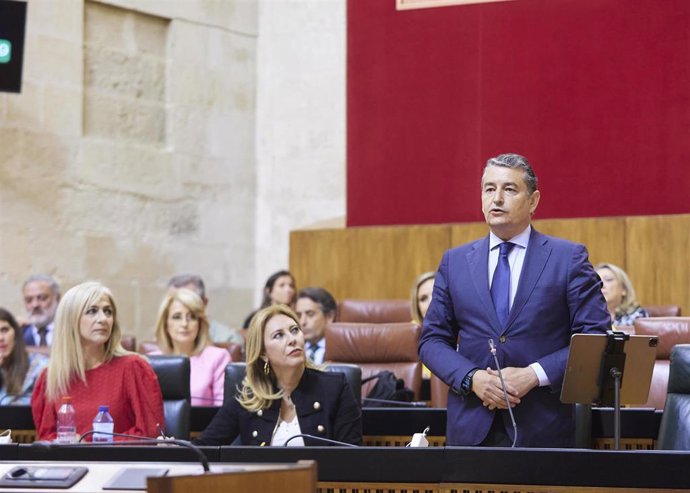 El consejero de la Presidencia, Interior, Diálogo Social y Simplificación Administrativa, Antonio Sanz, en el Pleno del Parlamento.