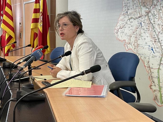 La presidenta de la CHE, Dolores Pascual