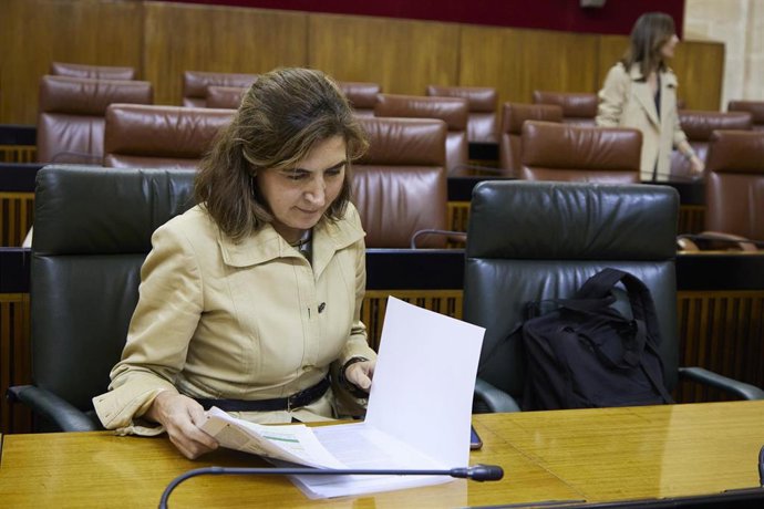 Archivo - La consejera de Empleo, Empresas y Trabajadores Autónomos de la Junta de Andalucía, Rocío Blanco, en el Pleno del Parlamento andaluz, en una imagen de archivo.
