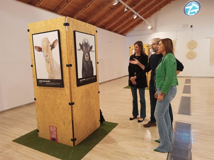 Exposición Bestiarium