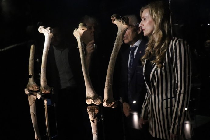 La viceconsejera de Acción Cultural, Mar Sancho, en la presentación de los nuevos fósiles que se incorporan a la exposición permanente del MEH