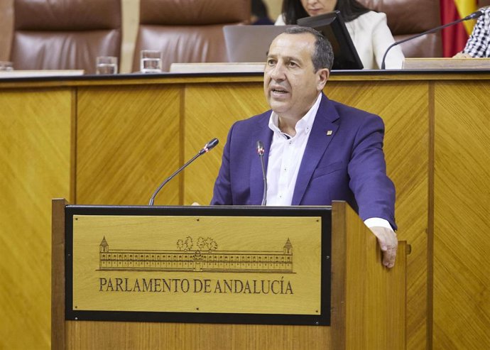 El diputado del PSOE-A José Luis Ruiz Espejo, en el Pleno del Parlamento andaluz.