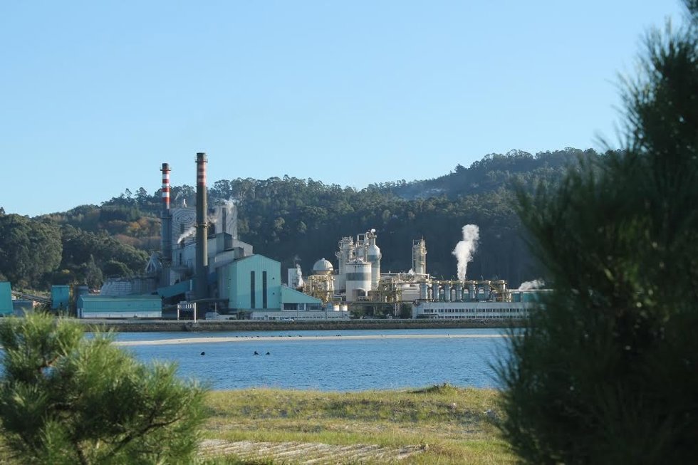 Archivo - Ence en la ría de Pontevedra