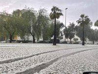 "Brutal granizada" en Los Palacios (Sevilla) con "daños muy graves" en los campos de cultivo