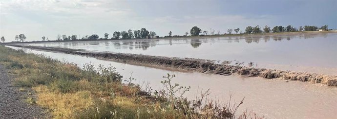 Campos anegados en Lebrija, en Sevilla.