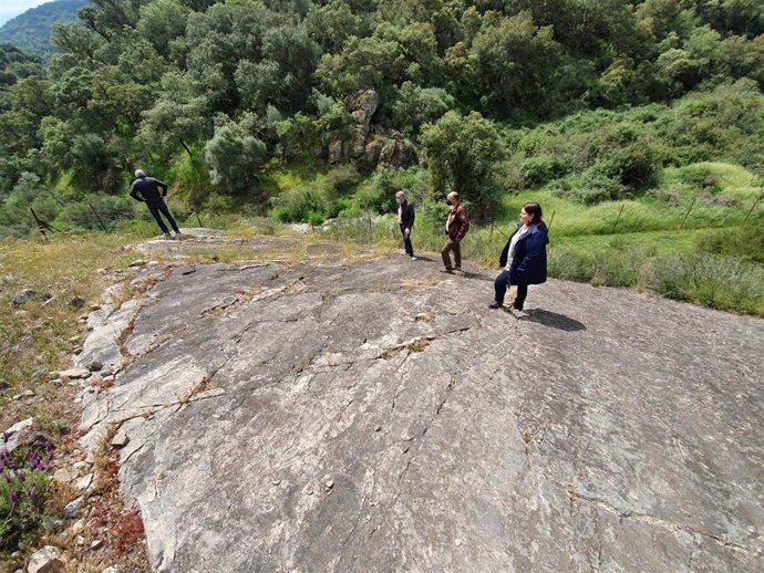 Archivo - El yacimiento de fósiles de medusas de Constantina