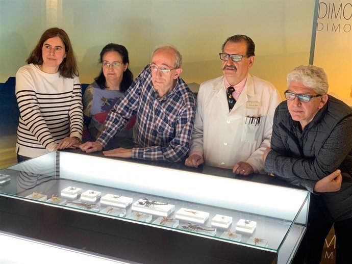 Museo de Ciencias Naturales de Álava incorpora nuevas vitrinas temáticas sobre biodiversidad a su exposición permanente