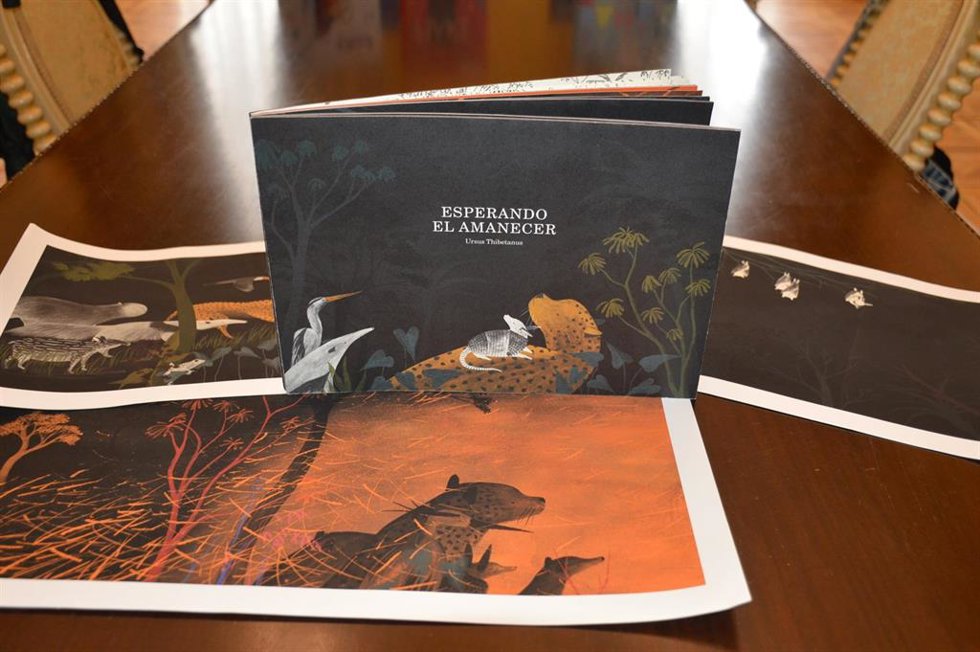 Archivo - Obra ganadora del XV Premio Compostela de Álbum Ilustrado.