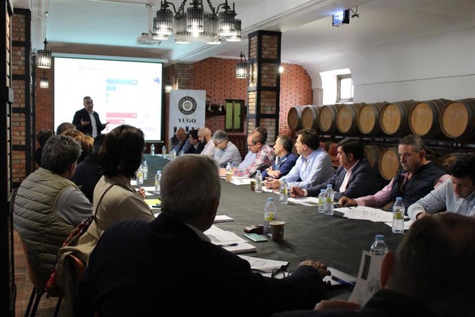 Miembros de la Comisión Sectorial Vitivinícola de Cooperativas Agro-alimentarias Castilla-La Mancha