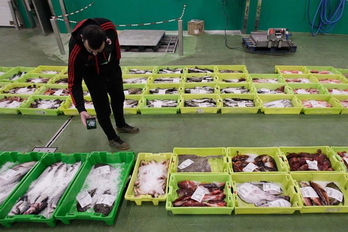 Archivo - Un hombre saca unas fotos a una caja con marisco en la lonja de Burela, a 15 de diciembre de 2022, en Burela, Lugo, Galicia, (España).
