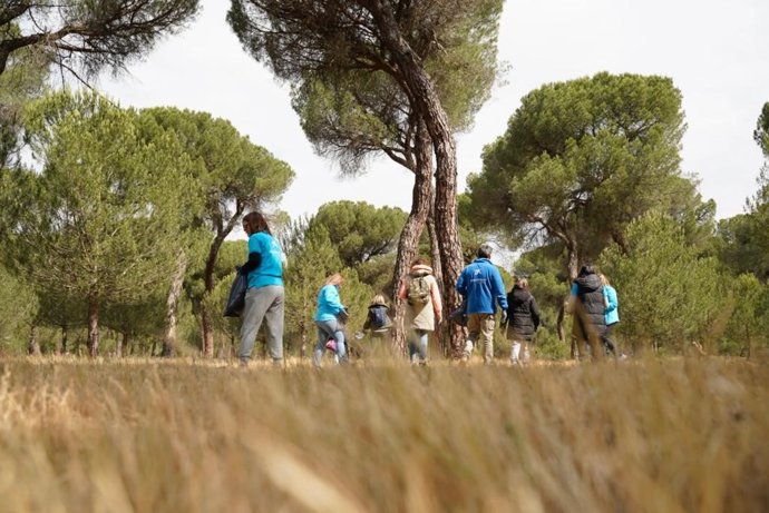 CaixaBank organiza este sábado una jornada medioambiental para limpiar de residuos el Pinar de Antequera en Valladolid