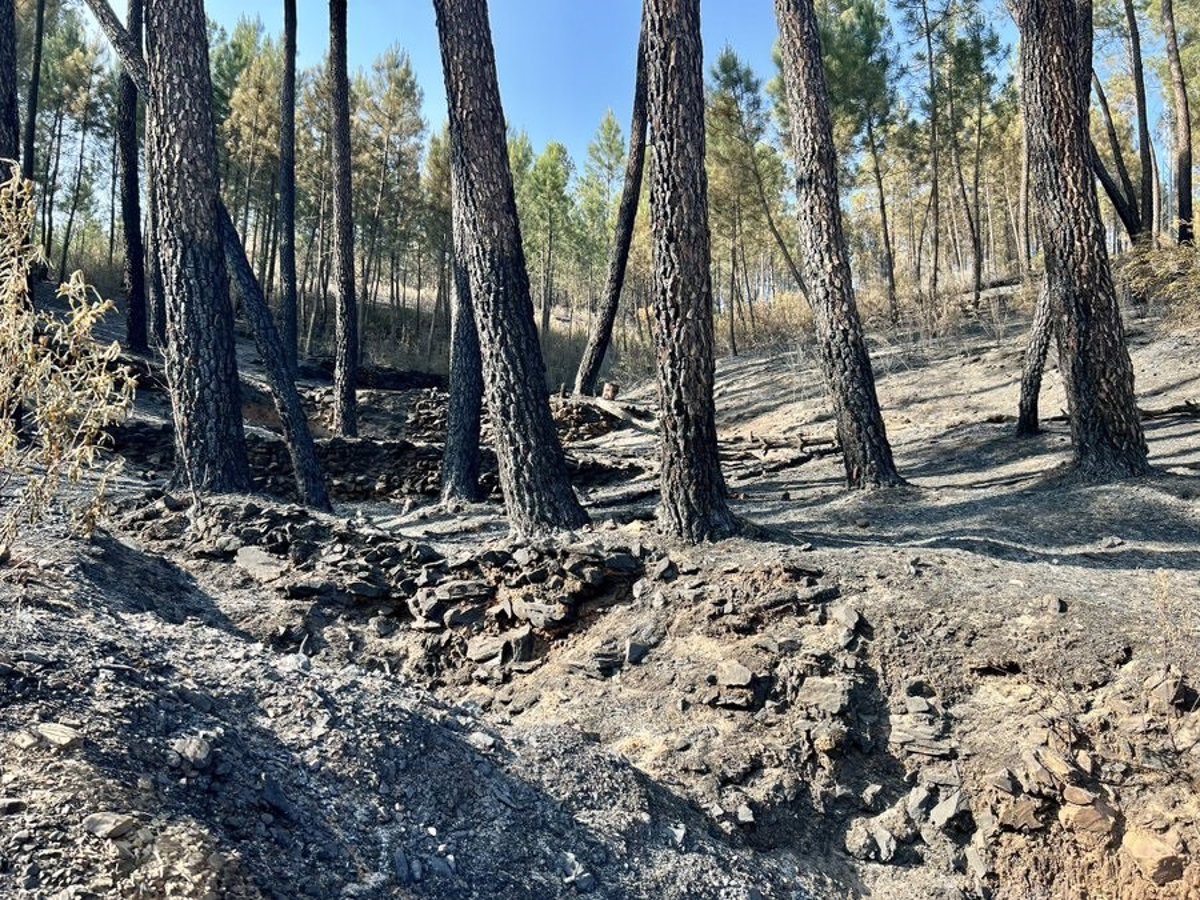 O incêndio em Las Hurdes continua no nível 2 e 19 meios aéreos, 24 unidades terrestres e 10 equipamentos pesados ​​estão trabalhando