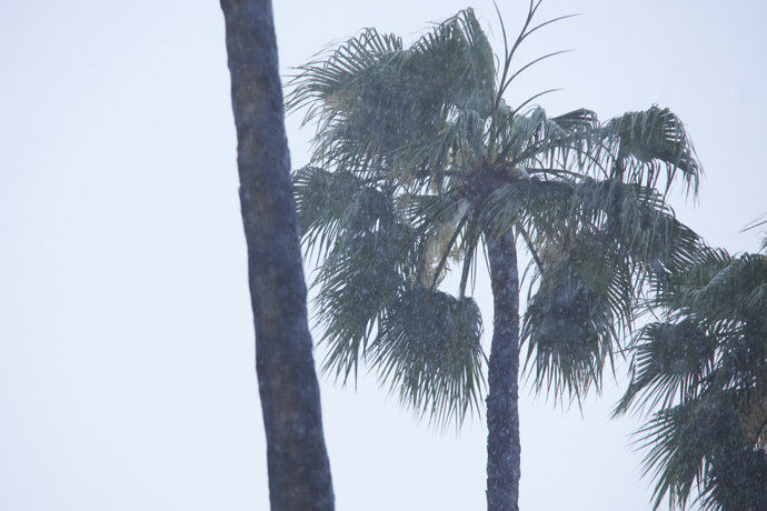 Fuertes lluvias en el Parlamento Andalucía , a 18 de mayo de 2023, en Sevilla, (Andalucía, España). La Agencia Estatal de Meteorología acierta y llueve sobre Sevilla. Esta medio día a comenzado a llover según lo previsto por la Aemet.