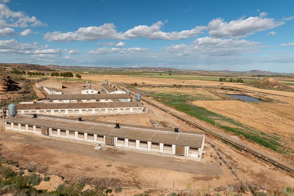 Archivo - El proyecto LIFE CLINMED-FARM participa en el Foro Mundial de Economía Circular en Finlandia.