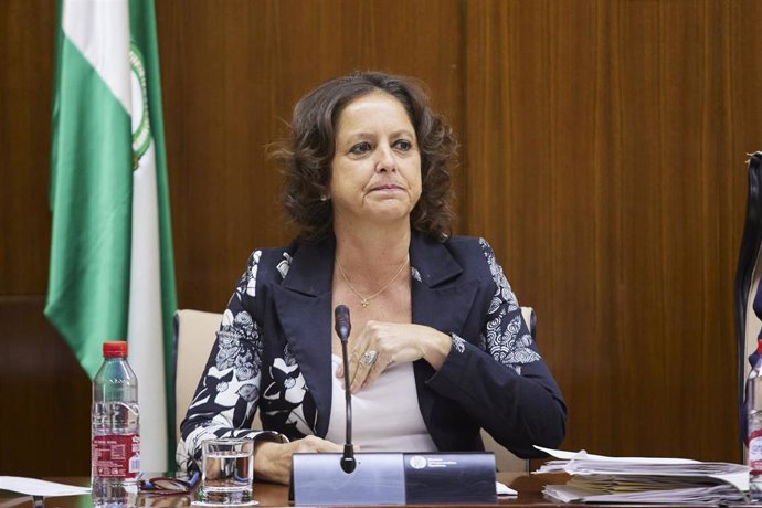 Archivo - La consejera de Salud, Catalina García, en una imagen de archivo de una comparecencia en comisión. 