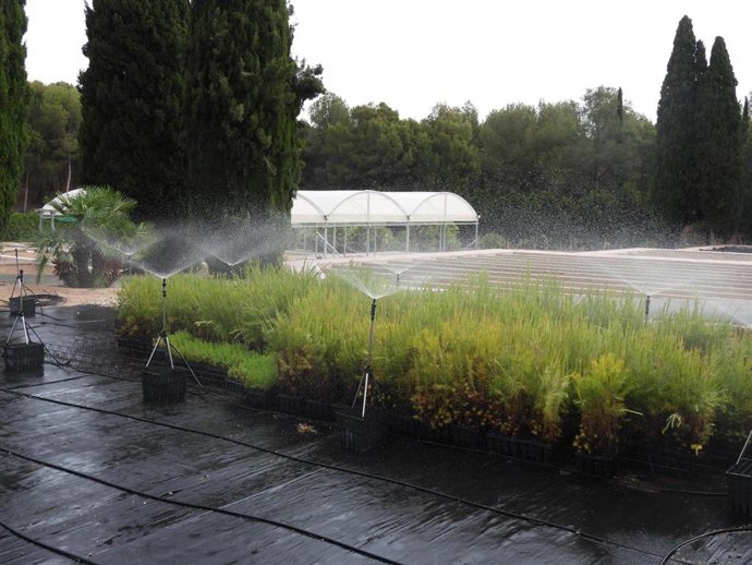 Centro de Conservación de Flora Silvestre, en el Parque Regional El Valle y Carrascoy.
