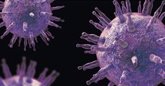 Foto: El virus de Epstein-Barr, qué sabemos de este virus que puede causar esclerosis múltiple