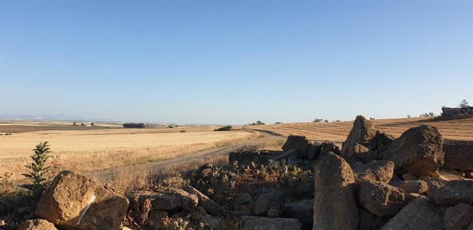 Nota De Prensa Y Fotos: Licitado El Estudio Para Reutilizar El Trazado Del Tren De Los Panaderos Como Vía Verde De Los Alcores