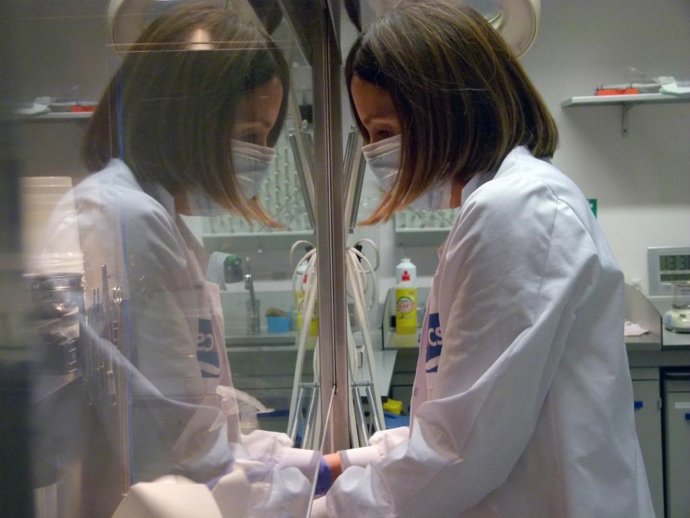 La jornada ha tenido lugar en el Centro de Investigación Biomédica de Aragón