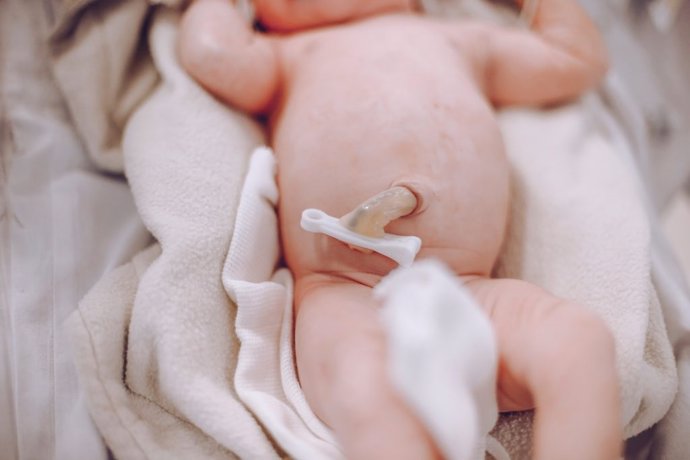 Detectan un total de 11 compuestos químicos de productos de cuidado personal en la sangre del cordón umbilical de 69 bebés