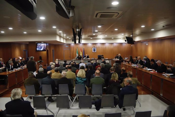 Archivo - Un momento del juicio del caso 'Astapa', sobre la presunta corrupción política y urbanística en Estepona, en la Ciudad de la Justicia de Málaga.