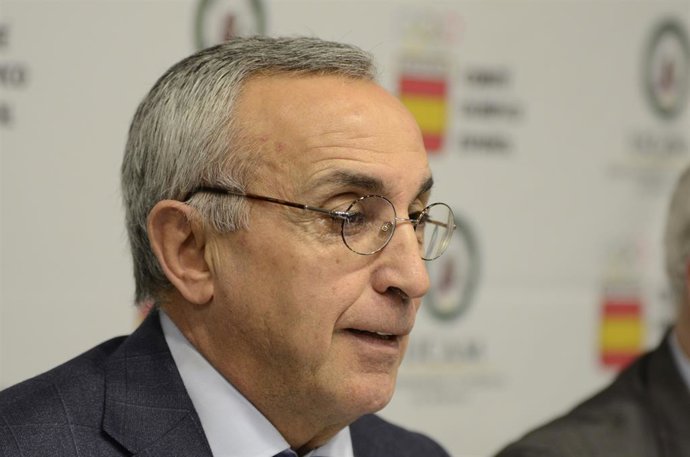 Archivo - Alejandro Blanco, presidente del Comité Olímpico Español (COE)