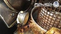 Precintan un local madrileño que vendía kebabs porque estaba lleno de grasa e infestado de cucarachas