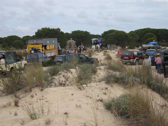 Rocieros por los caminos que cruzan Doñana.