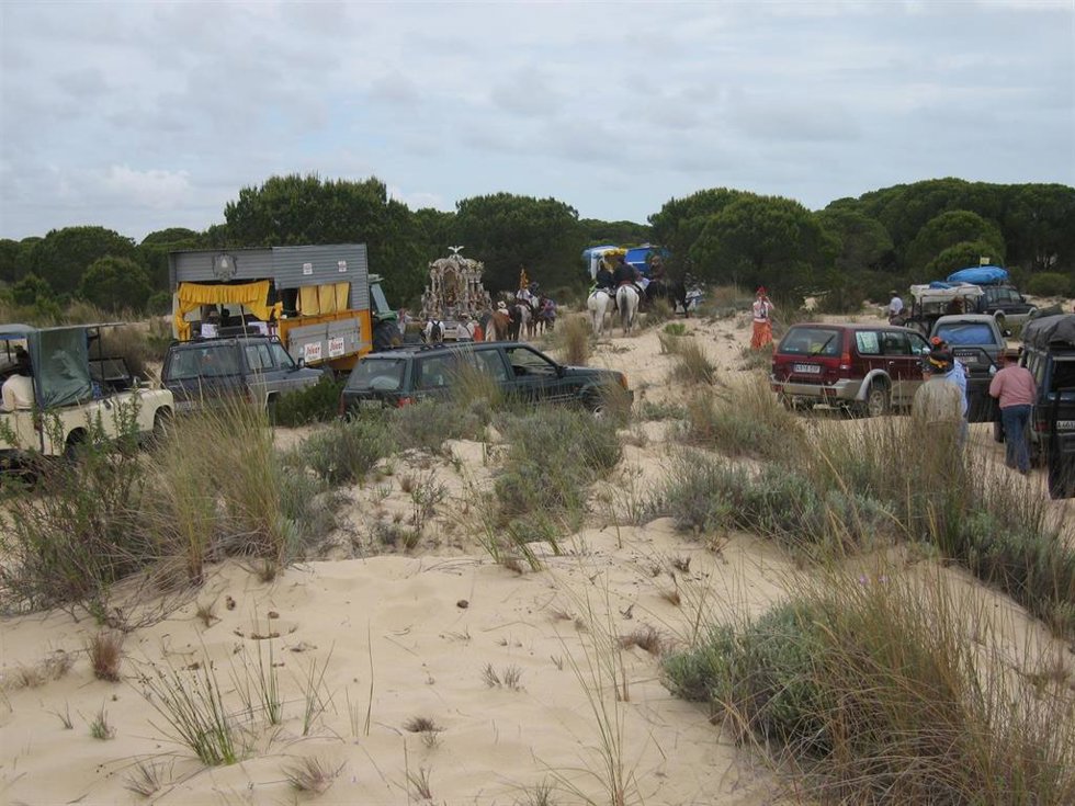 Rocieros por los caminos que cruzan Doñana.