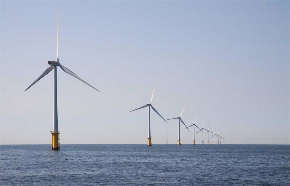 CTA participa en el proyecto europeo Ultfarms para mejorar la cadena de valor acuícola en parques eólicos marinos