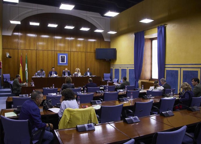 El consejero de Universidad, Investigación e Innovación, José Carlos Gómez Villamandos, en comisión parlamentaria