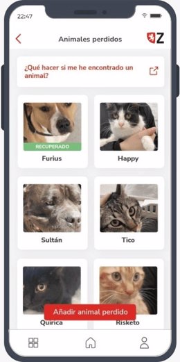 La app Conecta Zaragoza incorpora una función para cuidar de las mascotas