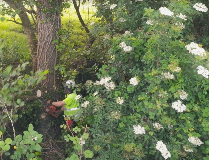 Trabajos de limpieza.