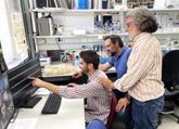 Foto: Investigadores desarrollan una técnica para observar en vivo la acción de las proteínas que enlazan los cromosomas