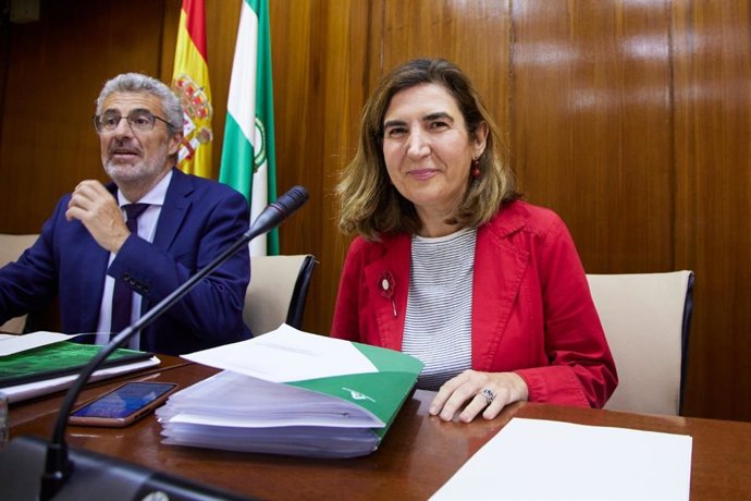 La consejera de Empleo, Empresa y Trabajo Autónomo, Rocío Blanco, en comisión parlamentaria.