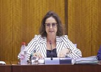 Salud defiende la "transparencia" en contratos de emergencia y acusa al PSOE de "usar más esta vía" sin pandemia