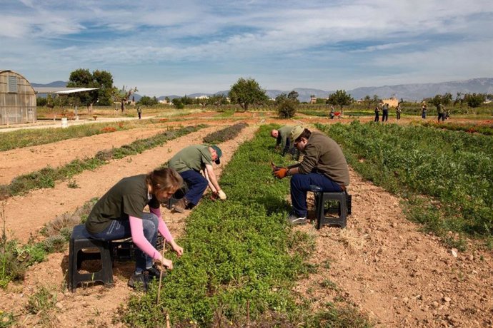 El IMAS ha concertado más del 83% de los servicios contemplado en el Pacto para las Personas con Discapacidad