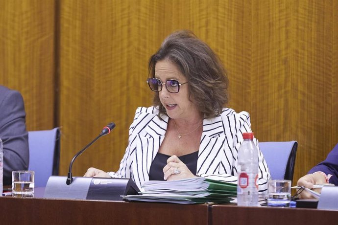 La consejera de Salud y Consumo, Catalina García, en la Comisión parlamentaria del miércoles 24 de mayo.