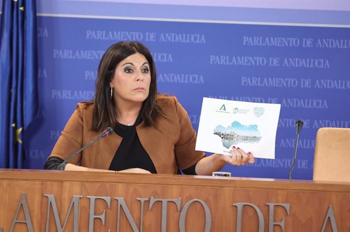 La portavoz del Grupo Socialista en el Parlamento andaluz, Ángeles Férriz, en rueda de prensa.