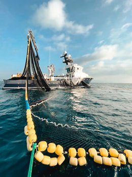 Archivo - Balfegó inicia este jueves la campaña anual de pesca de atún rojo