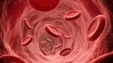 Foto: Investigadores españoles crean un vaso sanguíneo con colágeno que podría reemplazar arterias humanas en operaciones