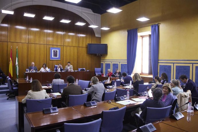 La consejera de Salud y Consumo, Catalina García, en comisión parlamentaria