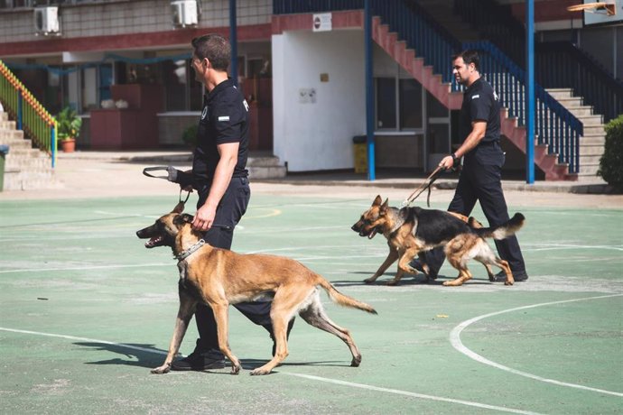 La Unidad Canina de la Policía Local participa en una exhibición en el colegio de las Josefinas de Mérida junto a miembros de la unidad canina de Almendralejo