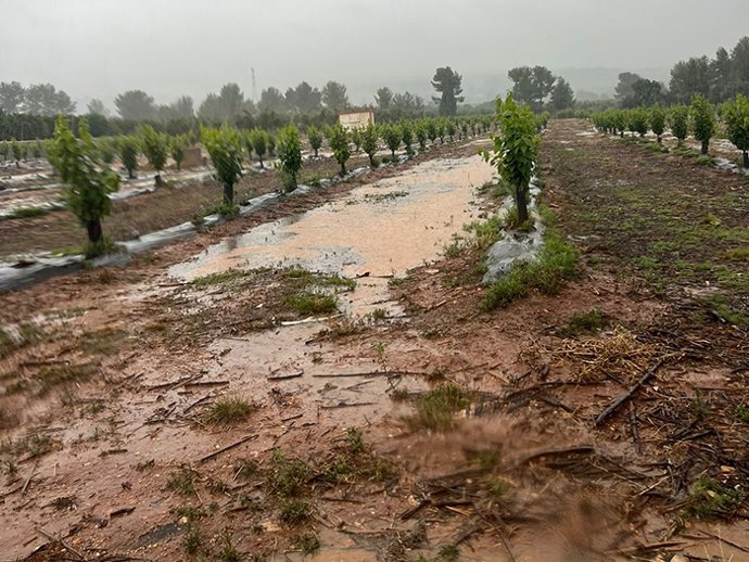 últimas Lluvias Caídas En El Campo Valenciano