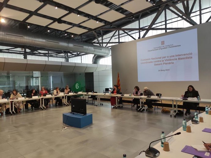 La consellera Tnia Verge preside la primera reunión de 2023 de la Comisión Nacional para una Intervención Coordinada contra la Violencia Machista (CNVM)