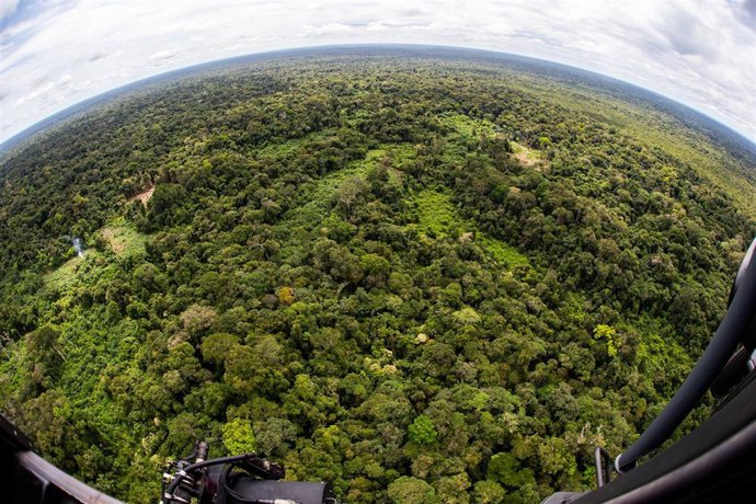 Archivo - Zona selvática entre Brasil y Colombia