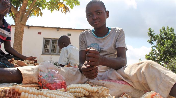 Archivo - BLANTYRE, April 30, 2021  -- A boy shells maize in Blantyre, Malawi, on April 5, 2021. As the 2020-2021 maize growing season is coming to an end in most parts of Malawi, agriculture experts have advised farmers to take good care of the crop ha