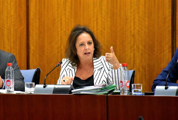 La consejera de Salud y Consumo, Catalina García.