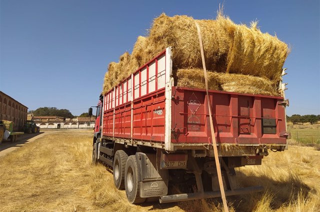La iputación de Cáceres reparte pacas de heno entre los ganaderos de Hurdes y Sierra de Gata afectados por el incendio